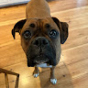 Meet your Posher, Maggie